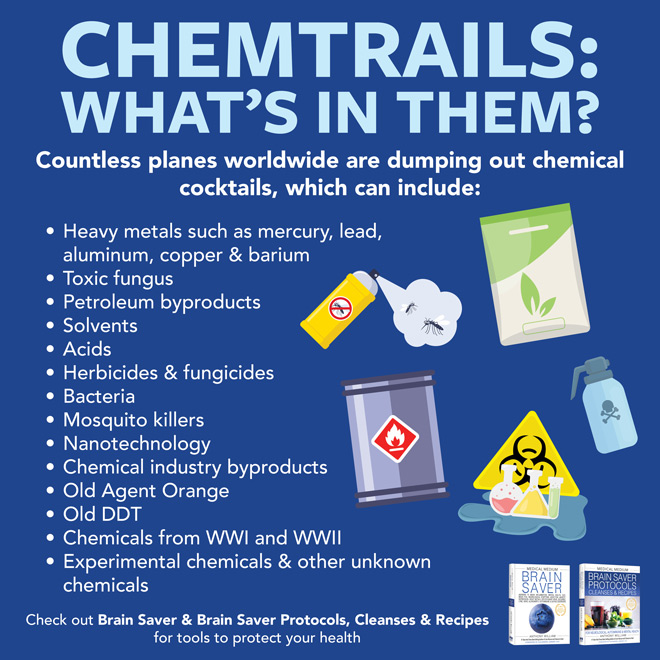 Chemtrails: What's In Them?