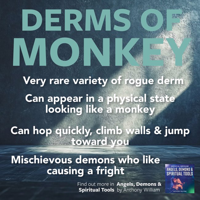 Derms of Monkey