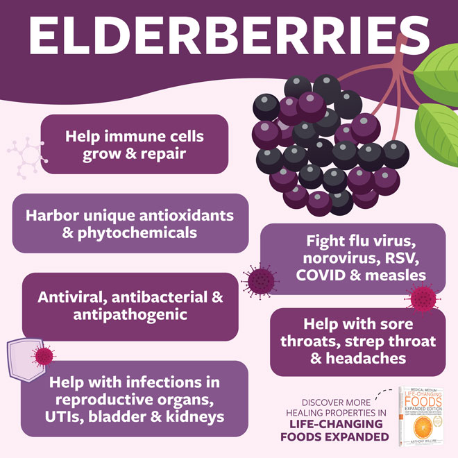 Elderberries