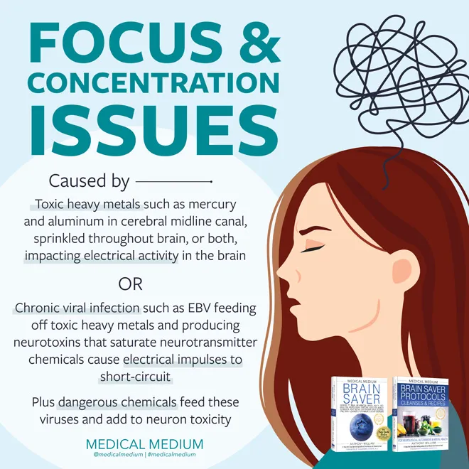 Focus & Concentration Issues