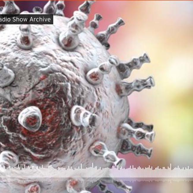 Herpes Viruses