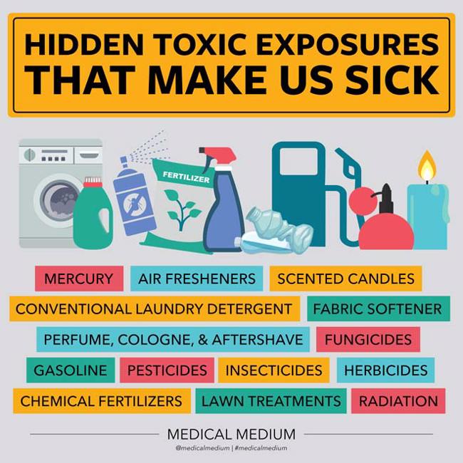 Hidden Toxic Exposures That Make Us Sick