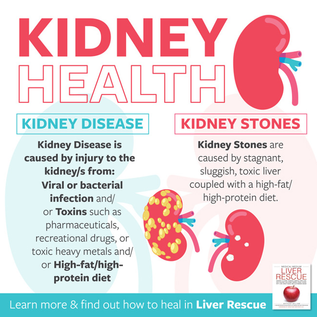 Kidney Health