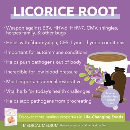 Licorice Root: Critical Pathogen Fighter