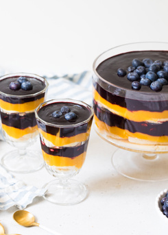 Banana, Mango & Wild Blueberry Trifle