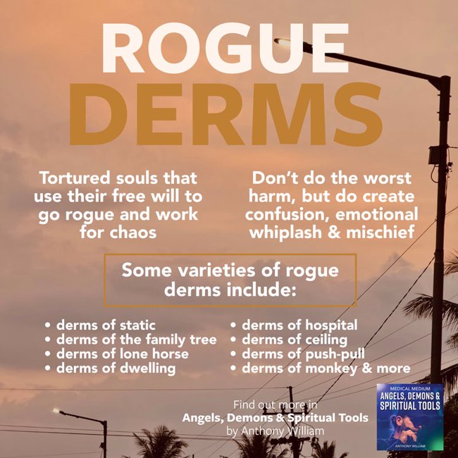 Rogue Derms