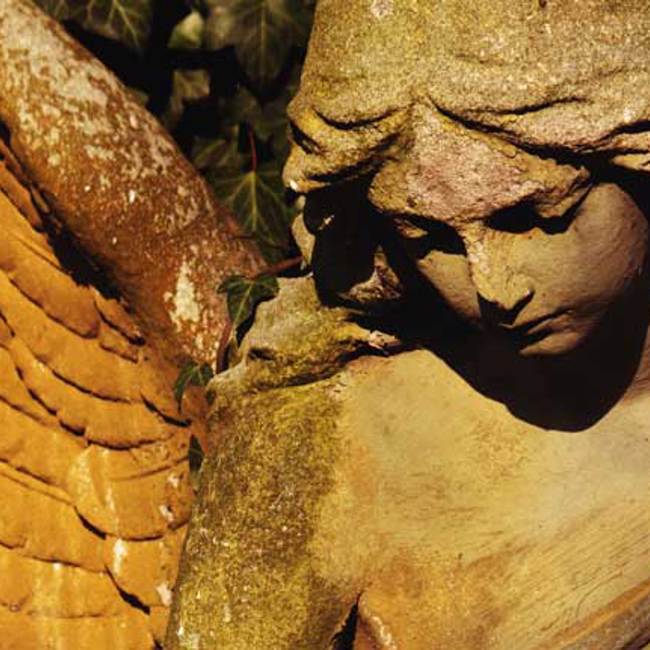 Life-Changing Angels