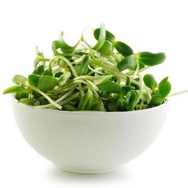 Sunflower Sprouts